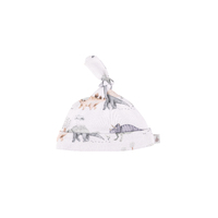 DINOSAURS ADVENTURE ORGANIC COTTON HAT