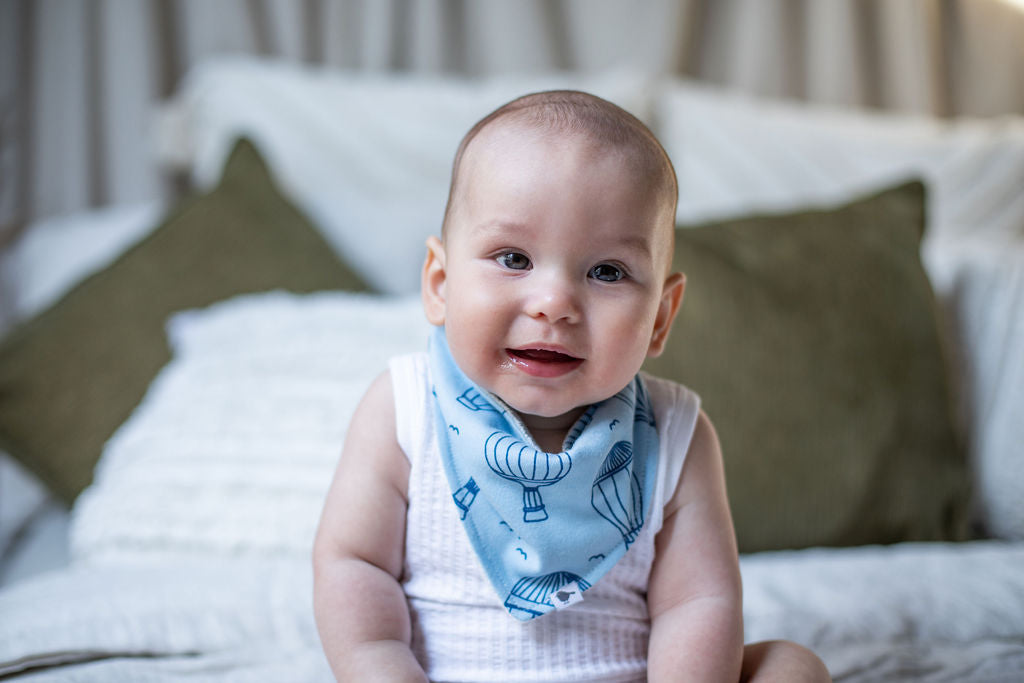 Hot Air Balloon Bandana Bib