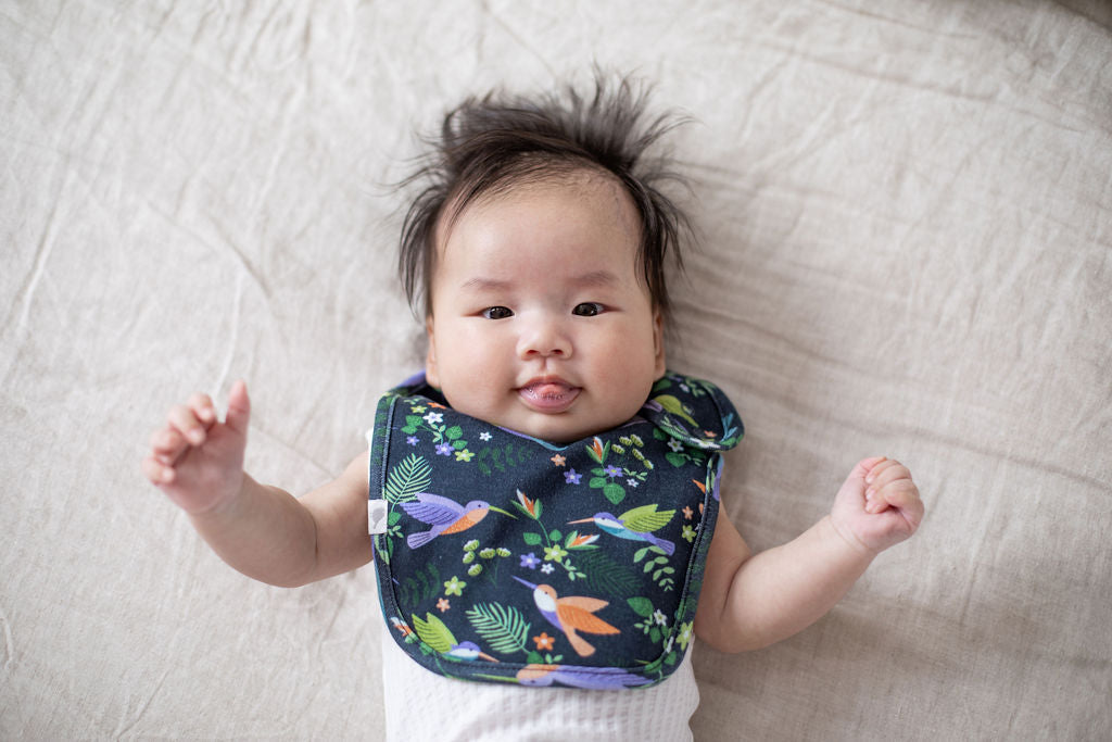Hummingbirds Organic Cotton Bib