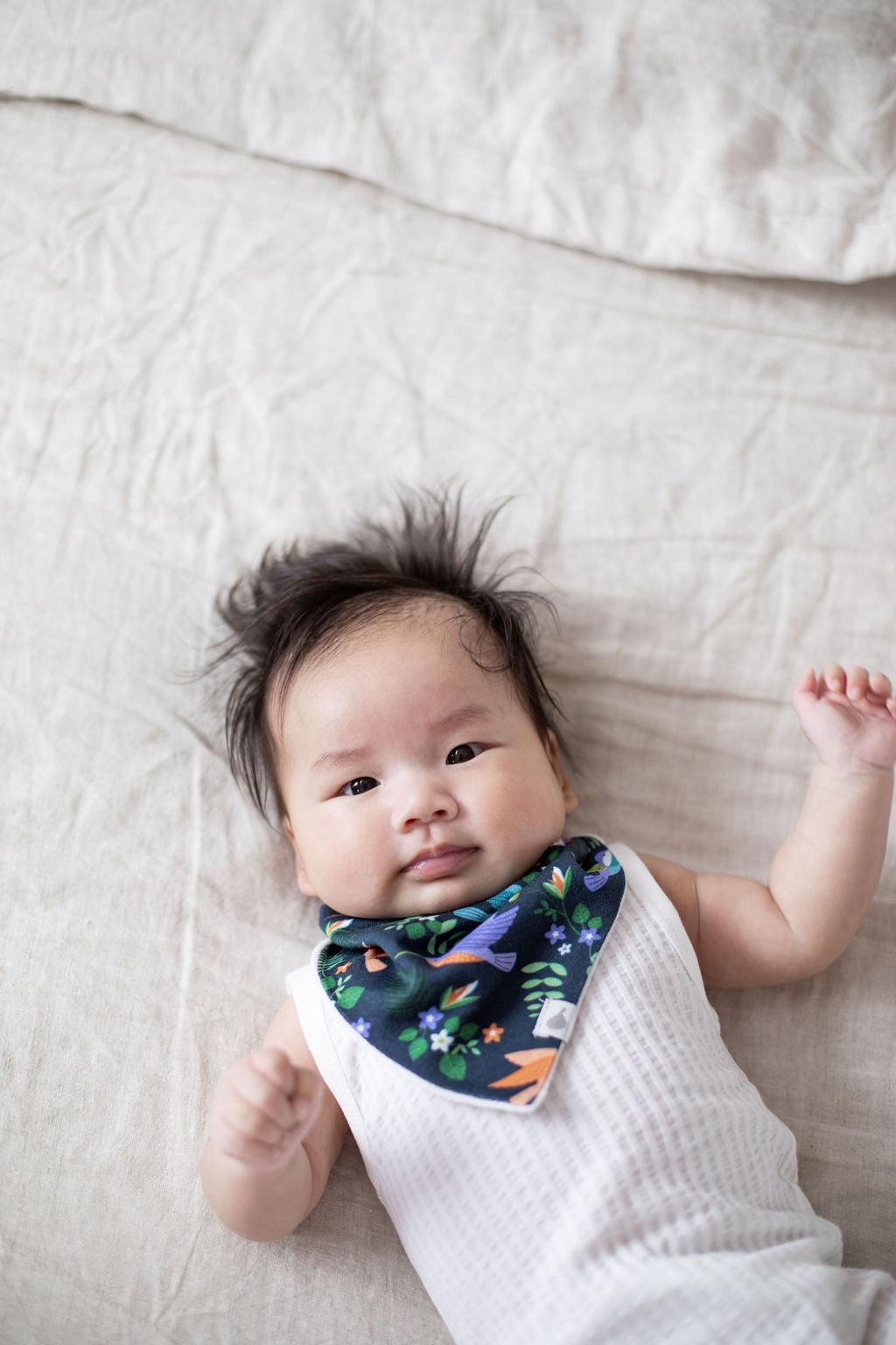 Hummingbirds Organic Cotton Bandana Bibs - 2 Pack