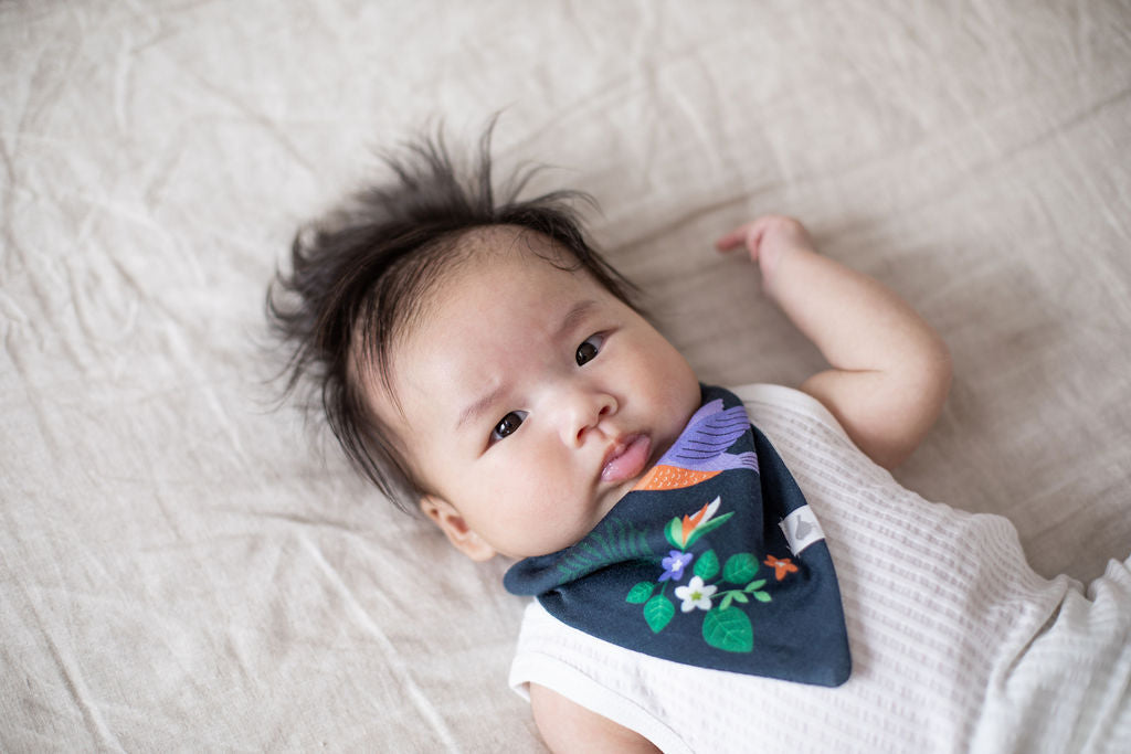 Hummingbirds Organic Cotton Bandana Bibs - 2 Pack