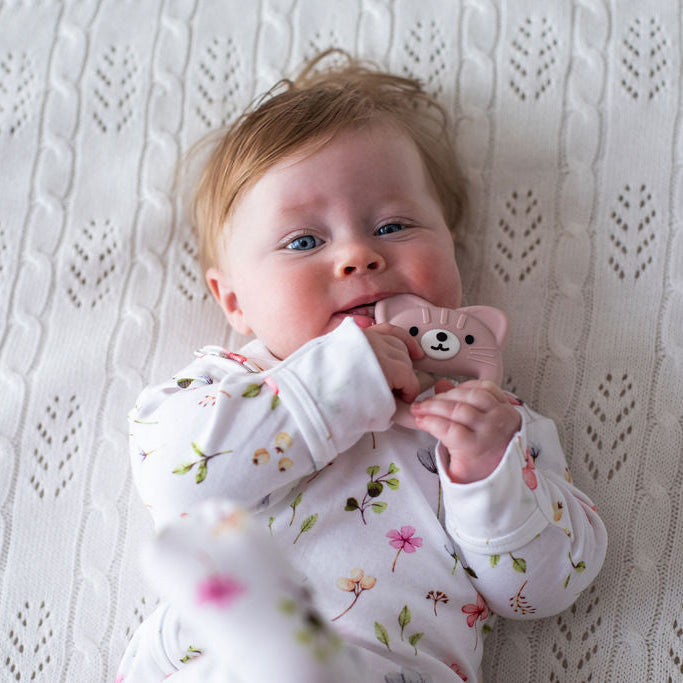 Dusty Pink Kitten Teether