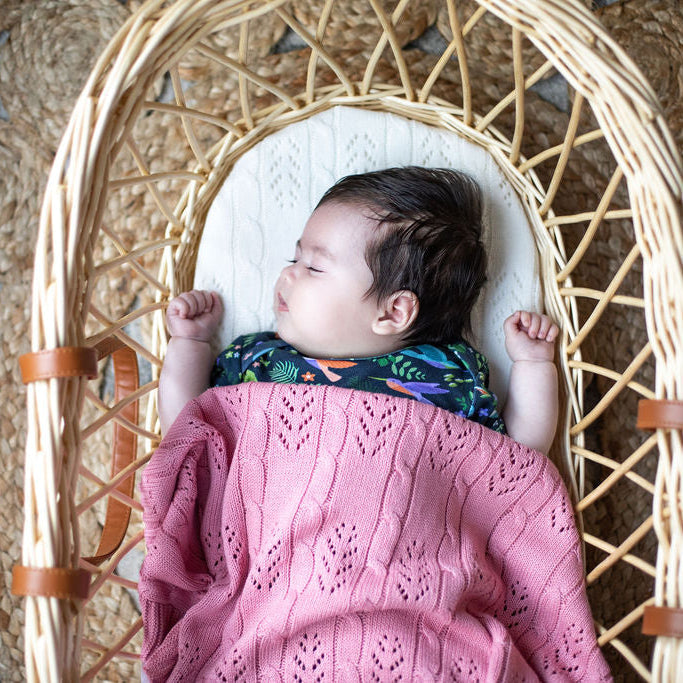 Blush Fern Bassinet Blanket