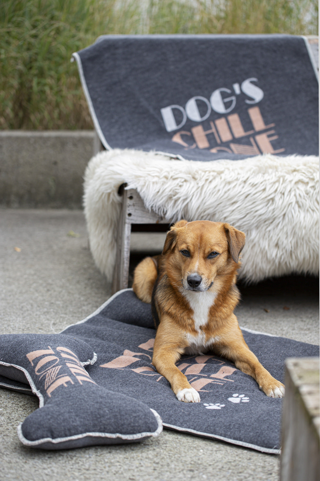 Charcoal Chill Zone Bone Cushion