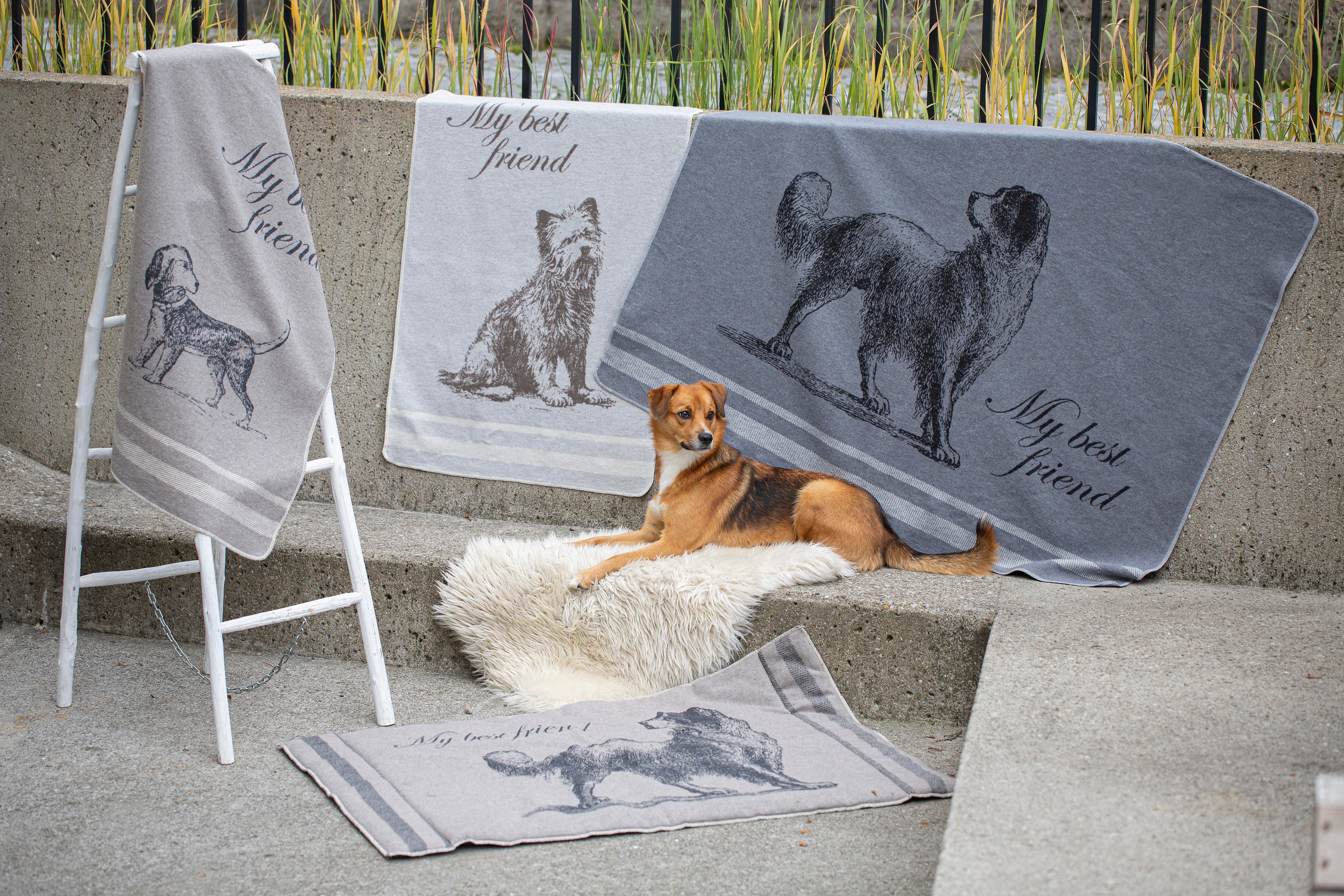 Grey Westie My Best Friend Pet Blanket 70 x 90 cm