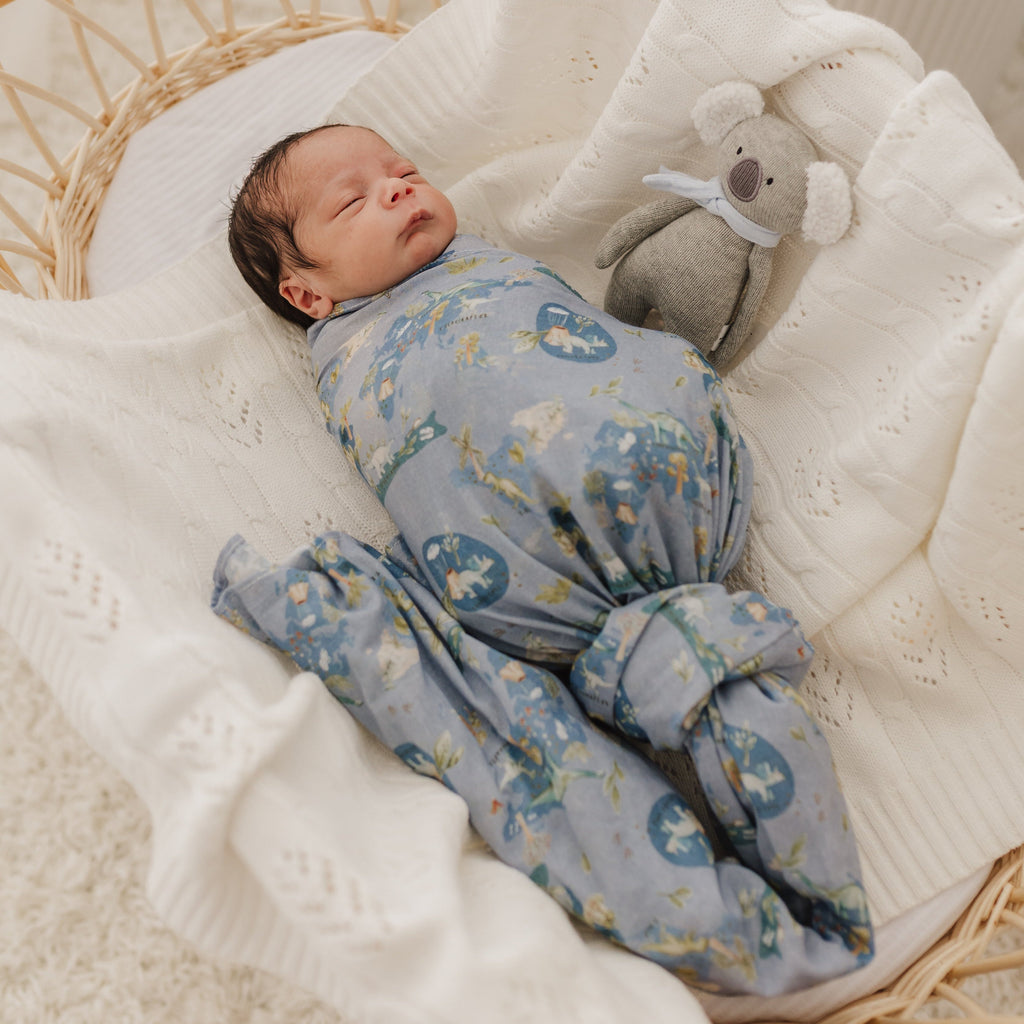 Dinosaurs of the World Muslin Wrap & Navy Pram Clip Set
