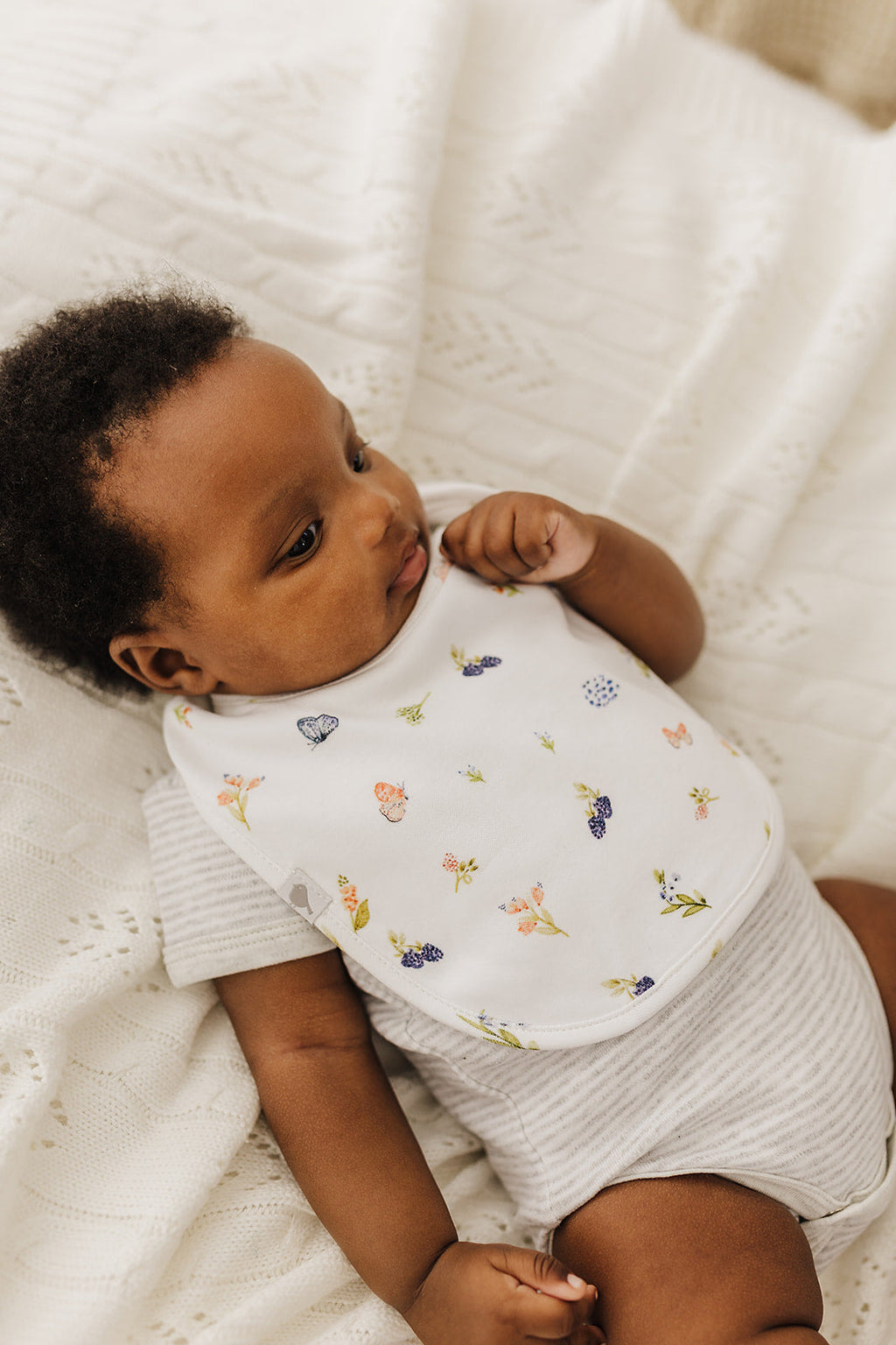 Berries & Butterflies Organic Cotton Bib