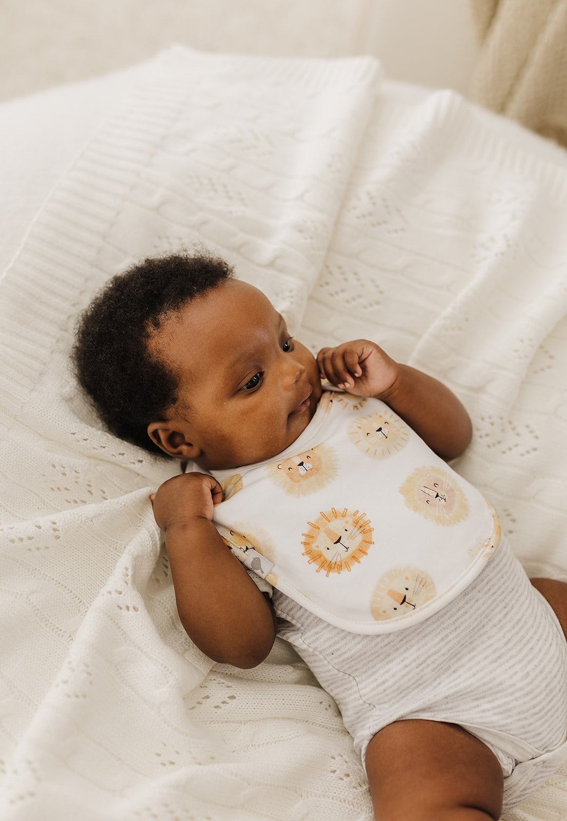 Lions Organic Cotton Bib