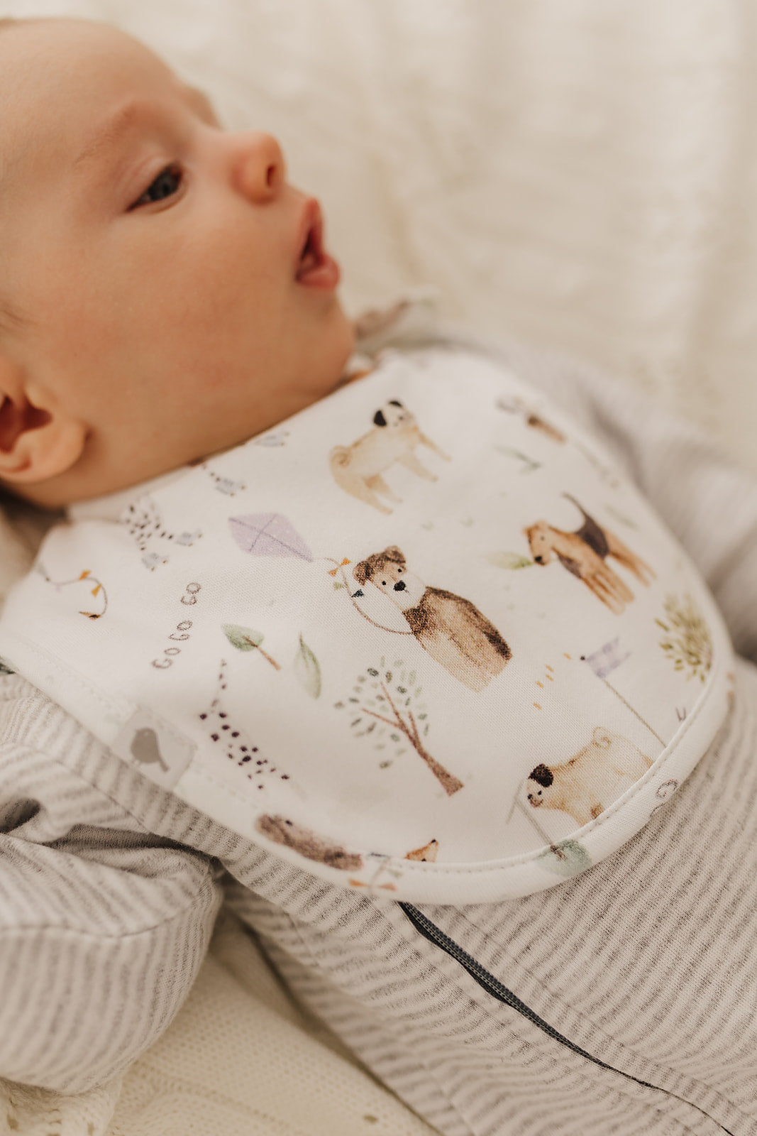 Dogs Day Out Organic Cotton Bib