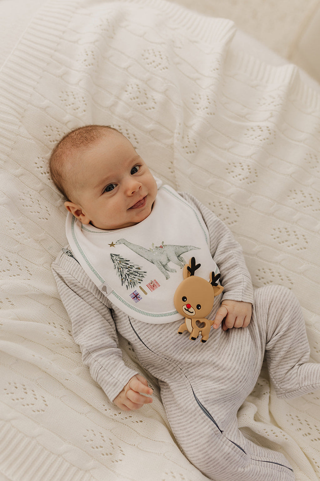 Christmas Dino Organic Cotton Bib