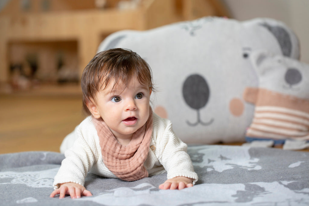 Koala Cushion - Filled