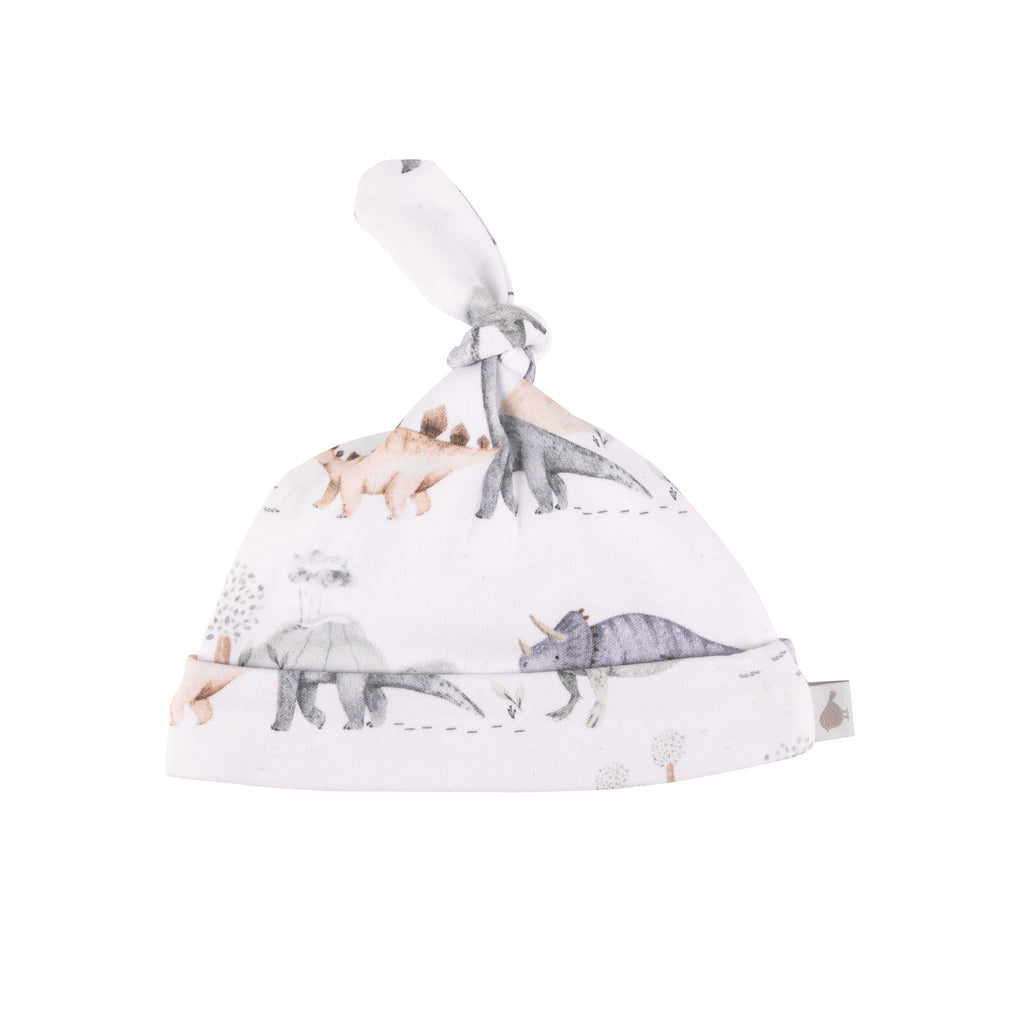 Dinosaur Adventure Organic Cotton Beanie