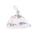 Dinosaur Adventure Organic Cotton Beanie