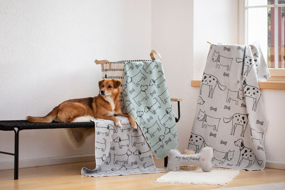 Grey My Best Friends Allover Pet Blanket 70 x 90cm