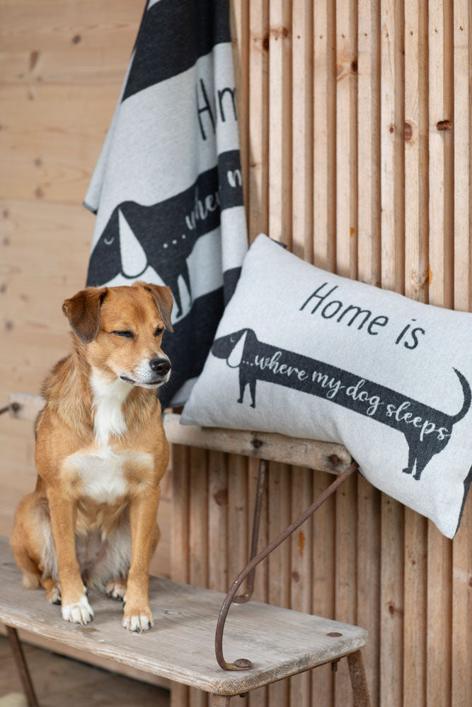 Grey Home is Where My Dog Sleeps Blanket 70 x 90 cm