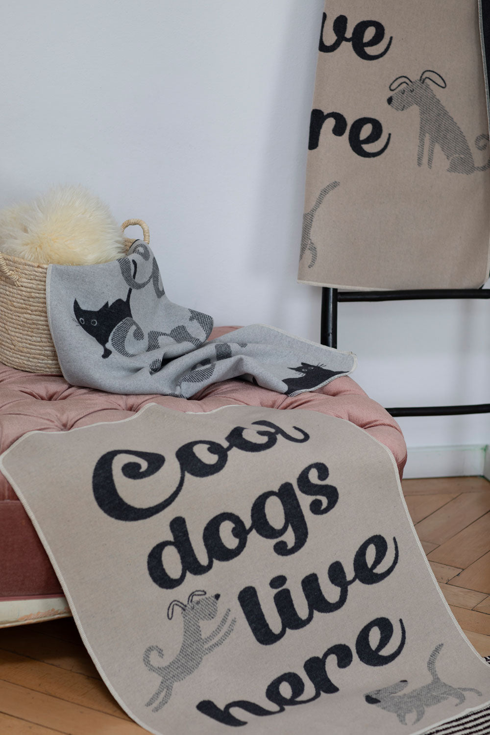 Ecru Cool Dogs Live Here Pet Blanket 70 x 90 cm
