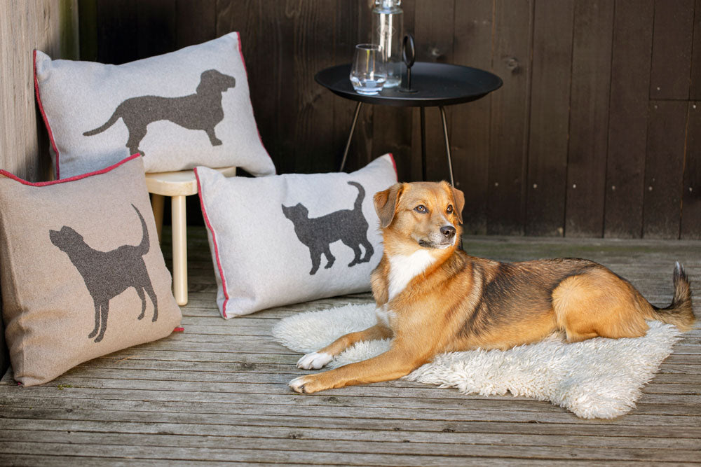 Grey Dachshund Nova Cushion 40 x 60 cm