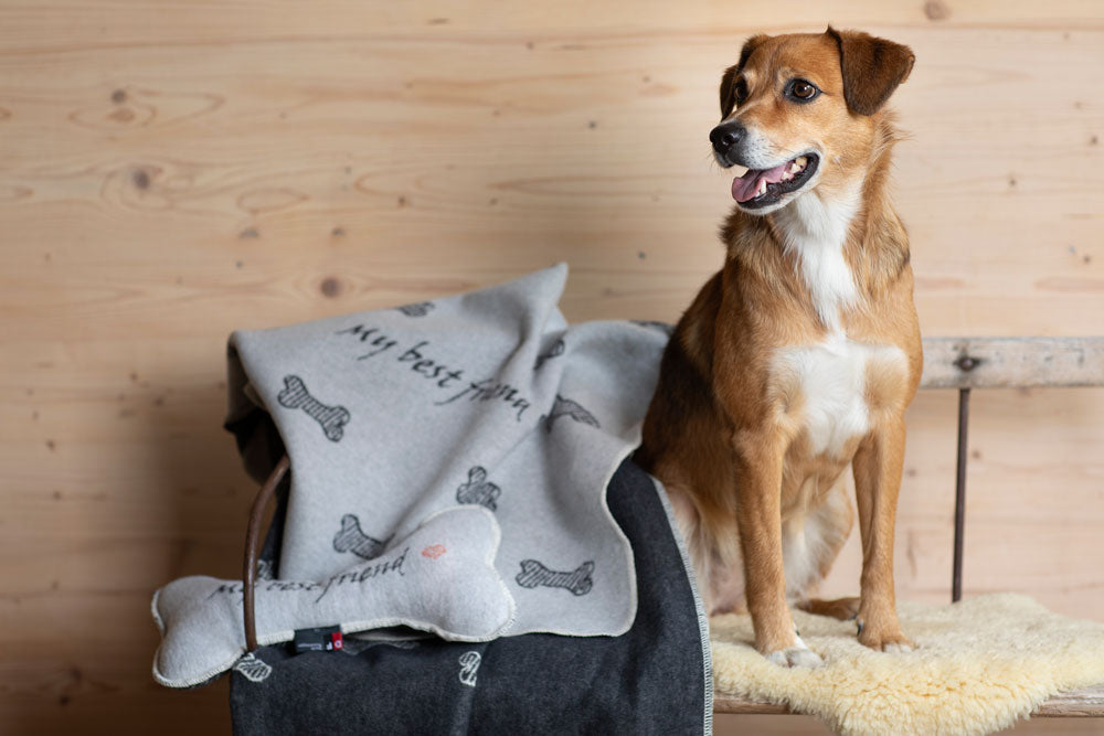 Grey Best Friends Bones Allover Pet Blanket 70 x 90cm