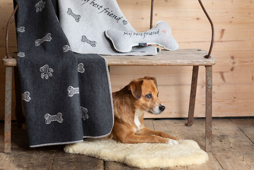 Charcoal Best Friends Bones Allover Pet Blanket 100 x 140 cm