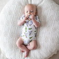 Koala Organic Cotton Short Sleeve Bodysuit