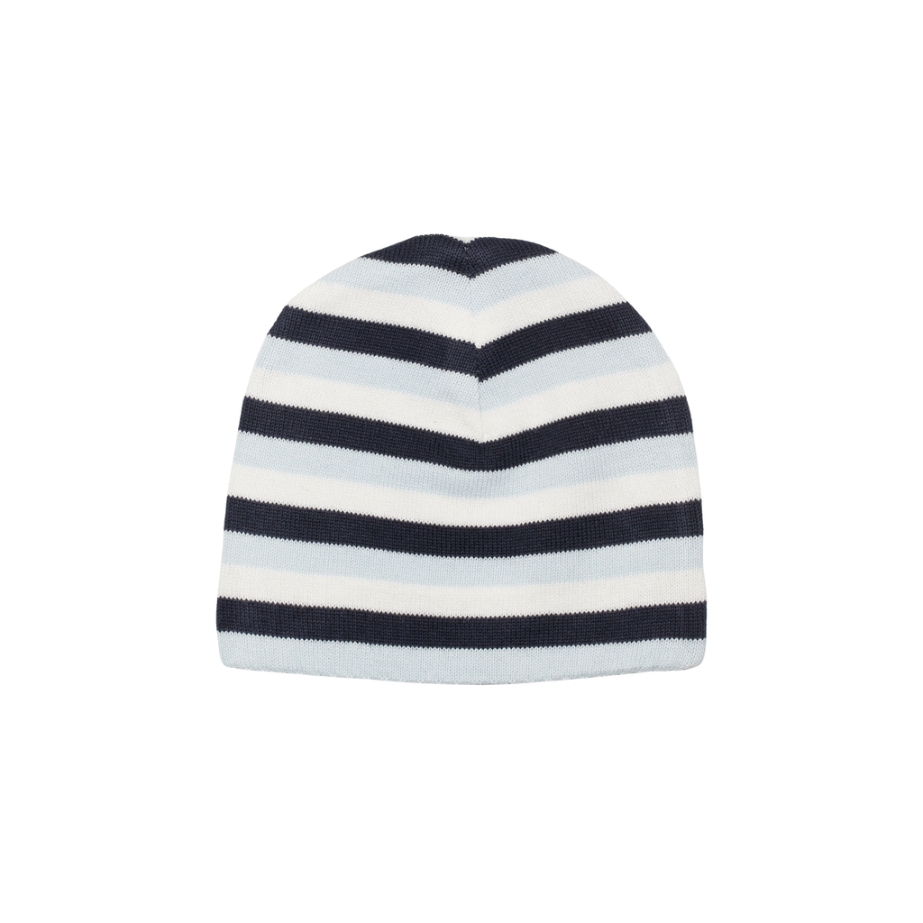Blue Stripe Reversible Hat